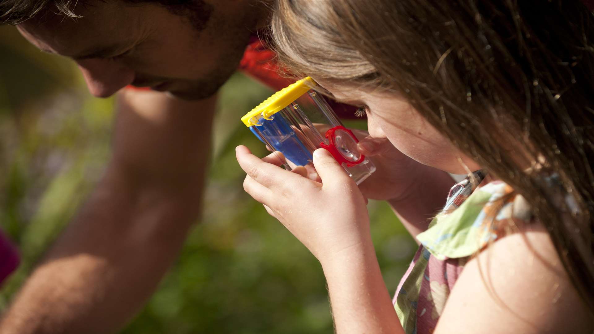 Make some discoveries this summer. Picture: National Trust