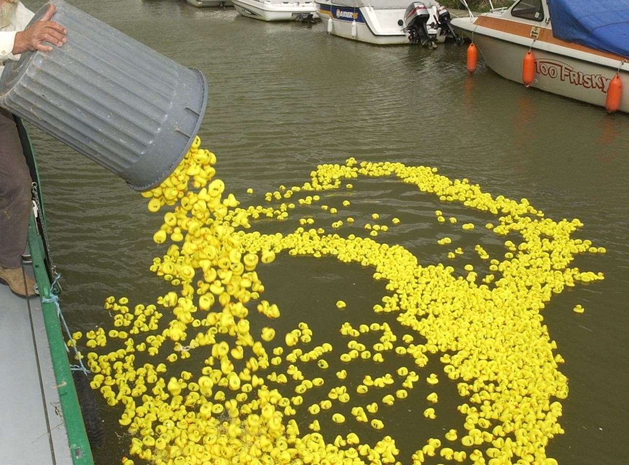 Traditionally the Duck Race takes place on the River Stour in Sandwich