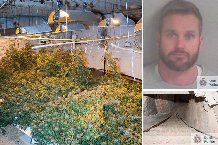 Police found cannabis plants growing at Craig Haines' home. Pic copyright Chief Constable of Kent Police