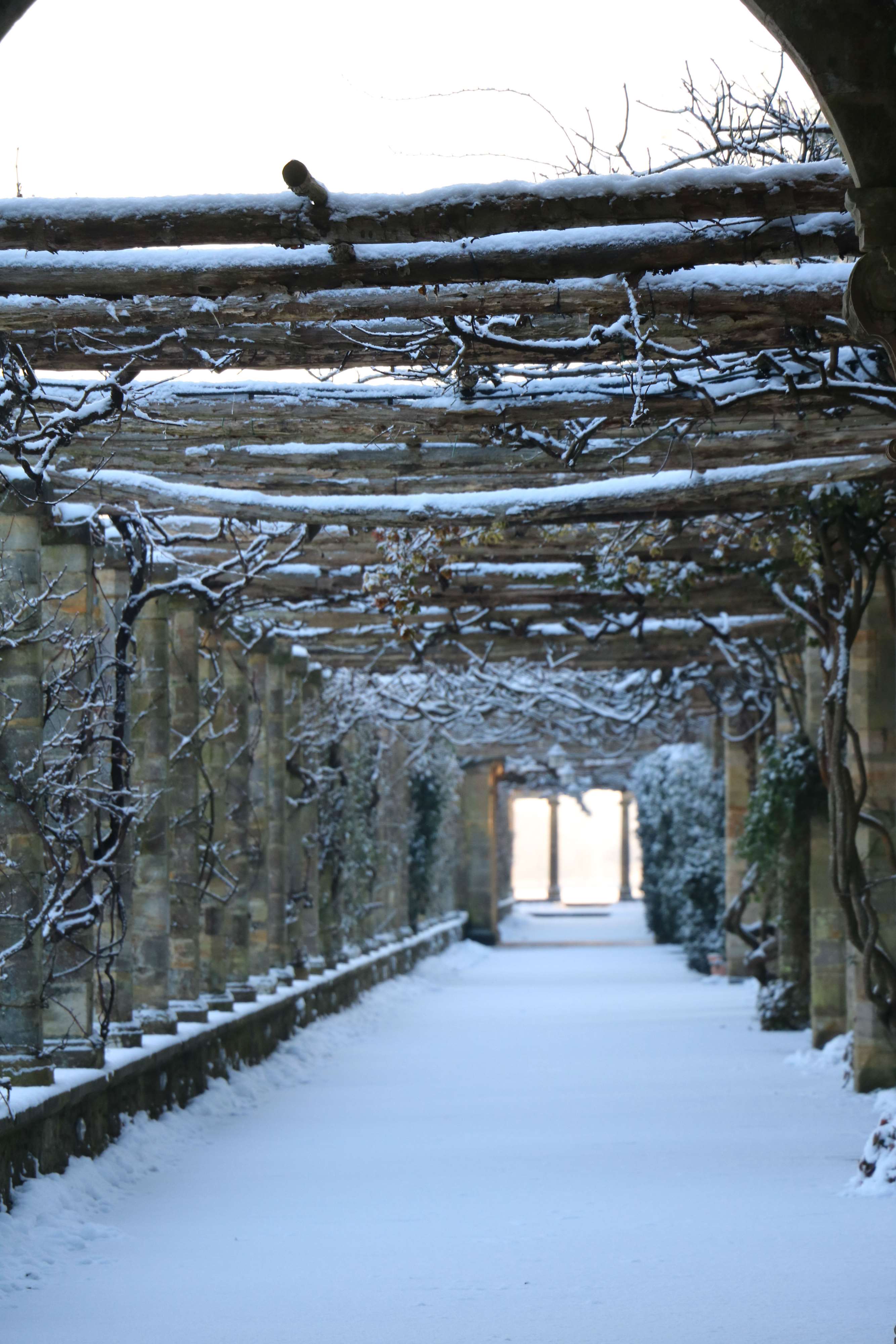 Find time to explore the gardens at Hever, whatever the weather