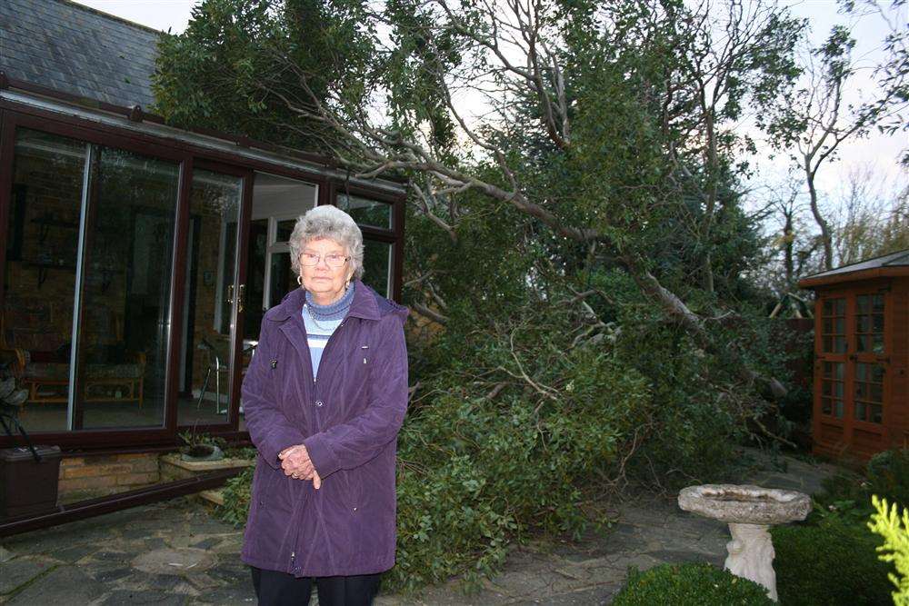 Maureen Cook, of Dent-De-Lion Court, Garlinge, with the fallen eucalyptus tree that crashed through her fence and narrowly missed hitting her bedroom.