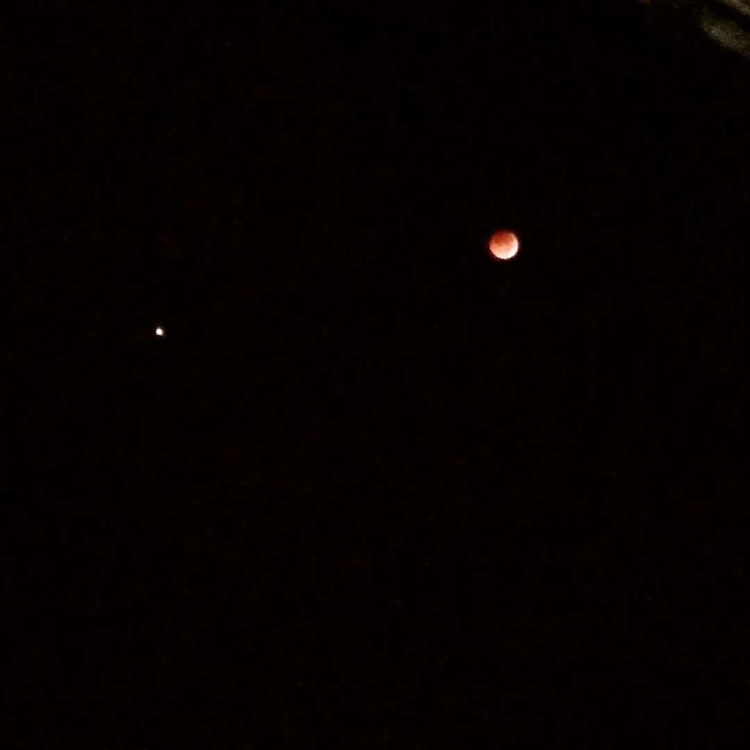 The blood moon spotted from Gillingham (3317971)