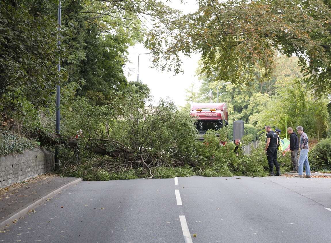 The tree is blocking the carriageway. Picture: Matthew Walker