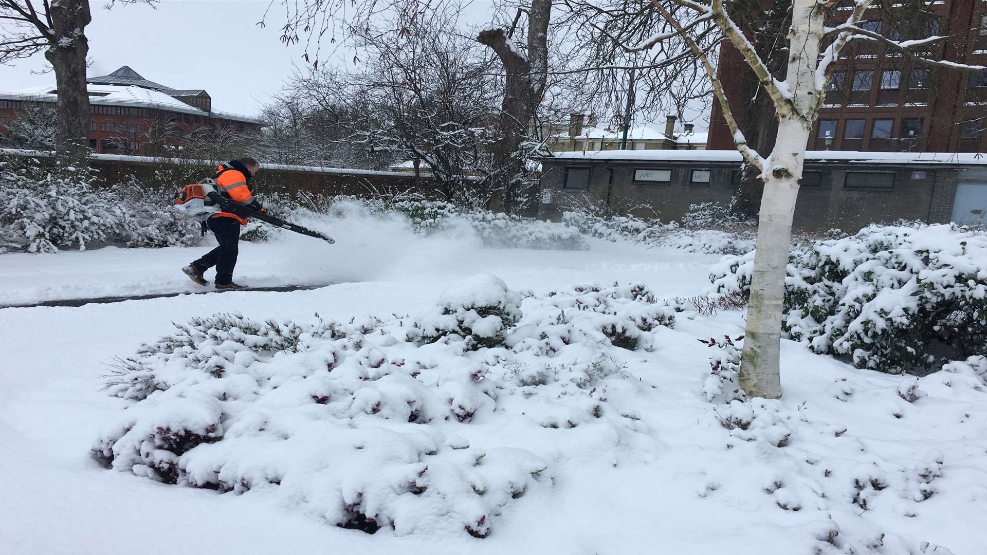 Maidstone council worker clearing Brenchley Gardens of snow.