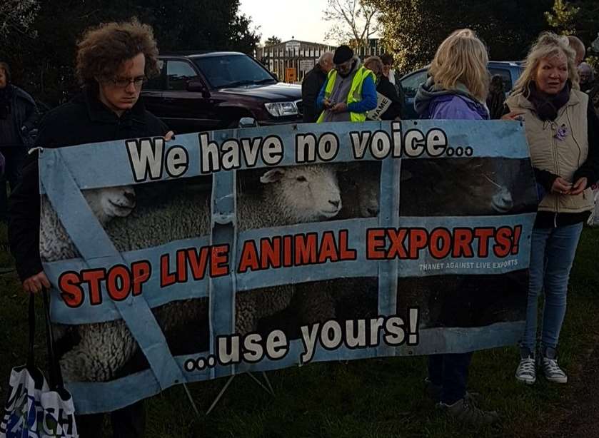 Live animal exports protesters