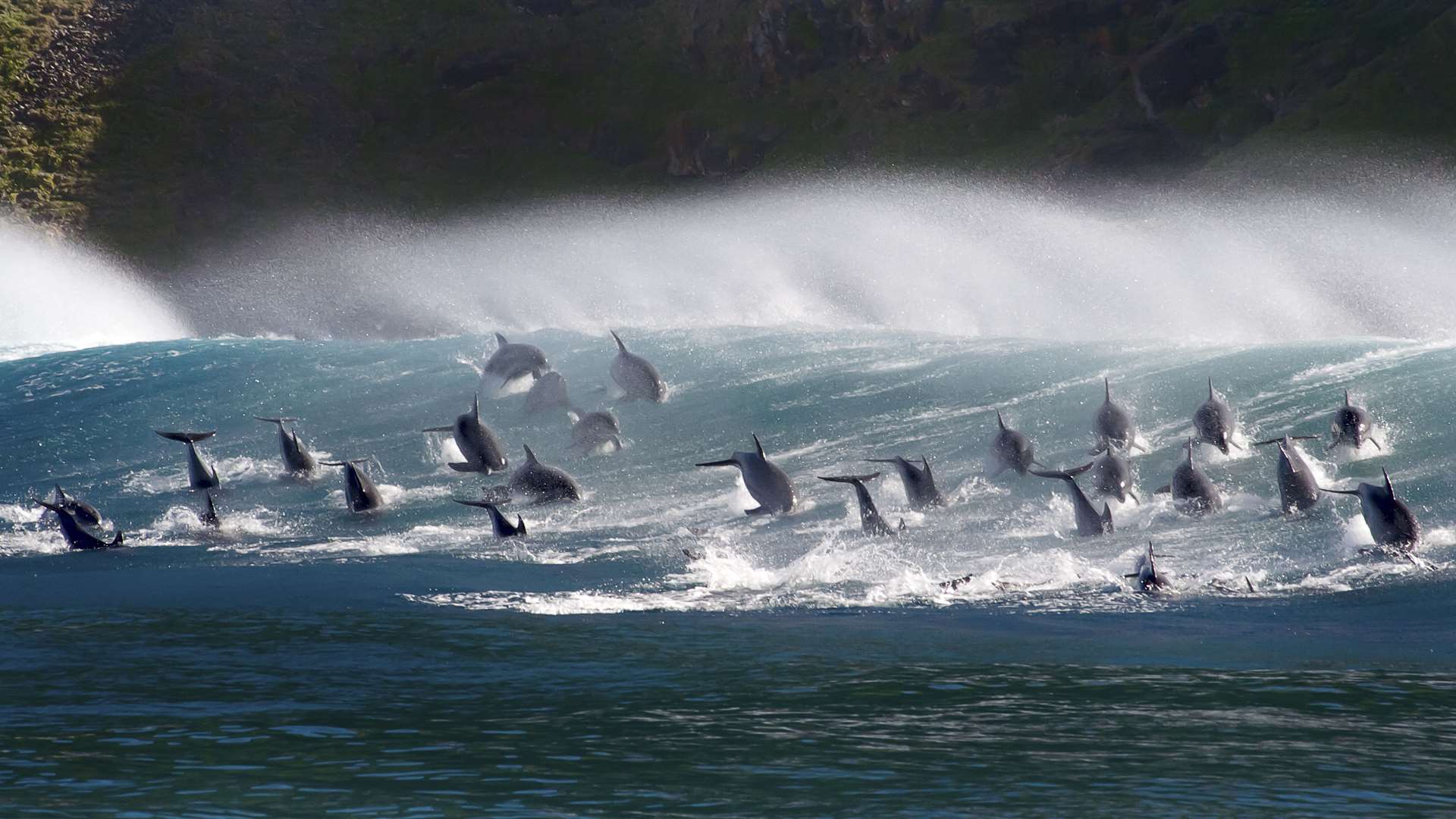 David Attenborough's Blue Planet highlighted the issue of plastic waste in our seas Picture: BBC