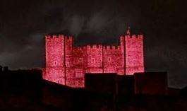 The specially coloured Dover Castle. Picture: Mike O'Callaghan. (1367196)