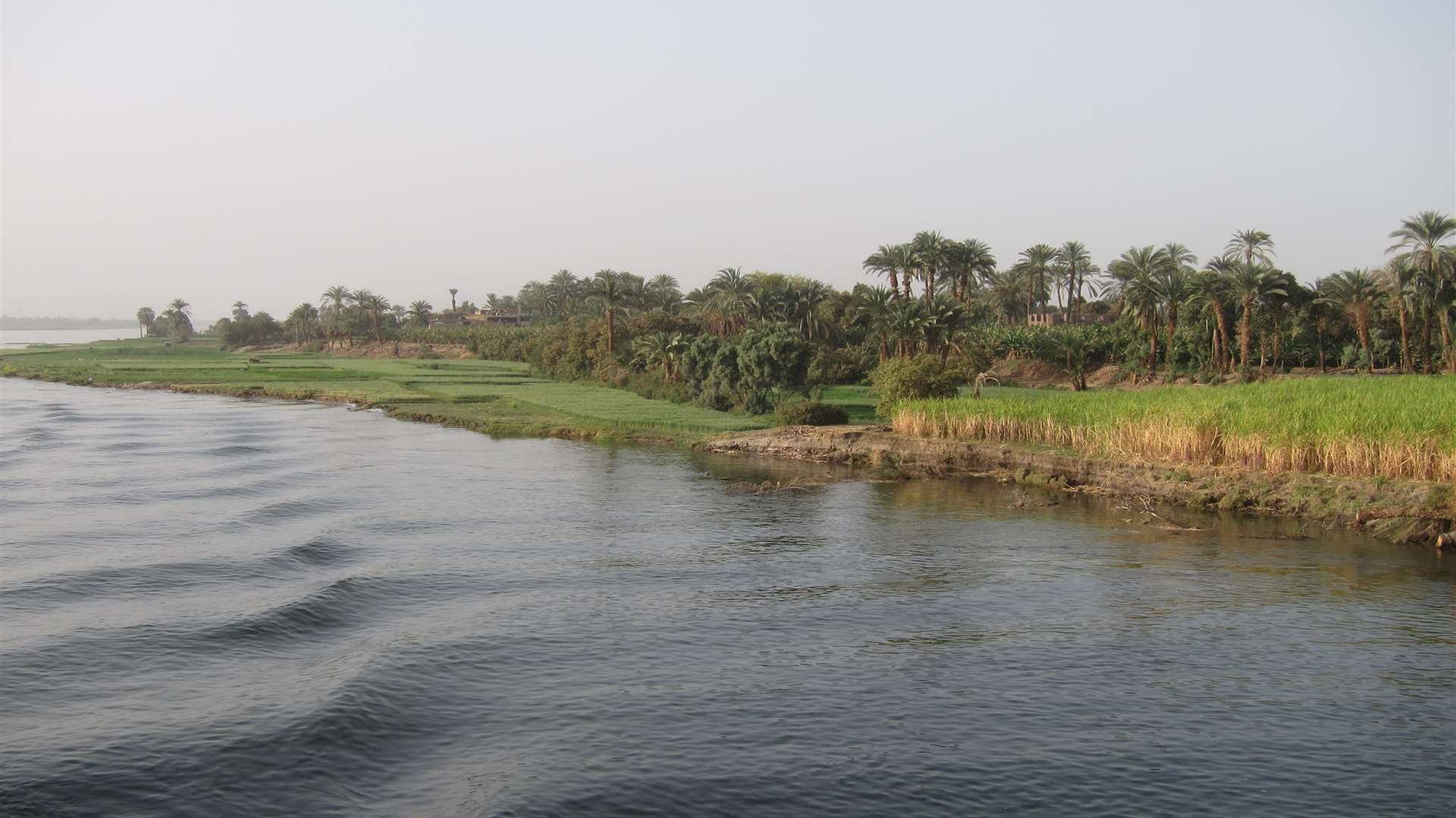 The banks of the Nile