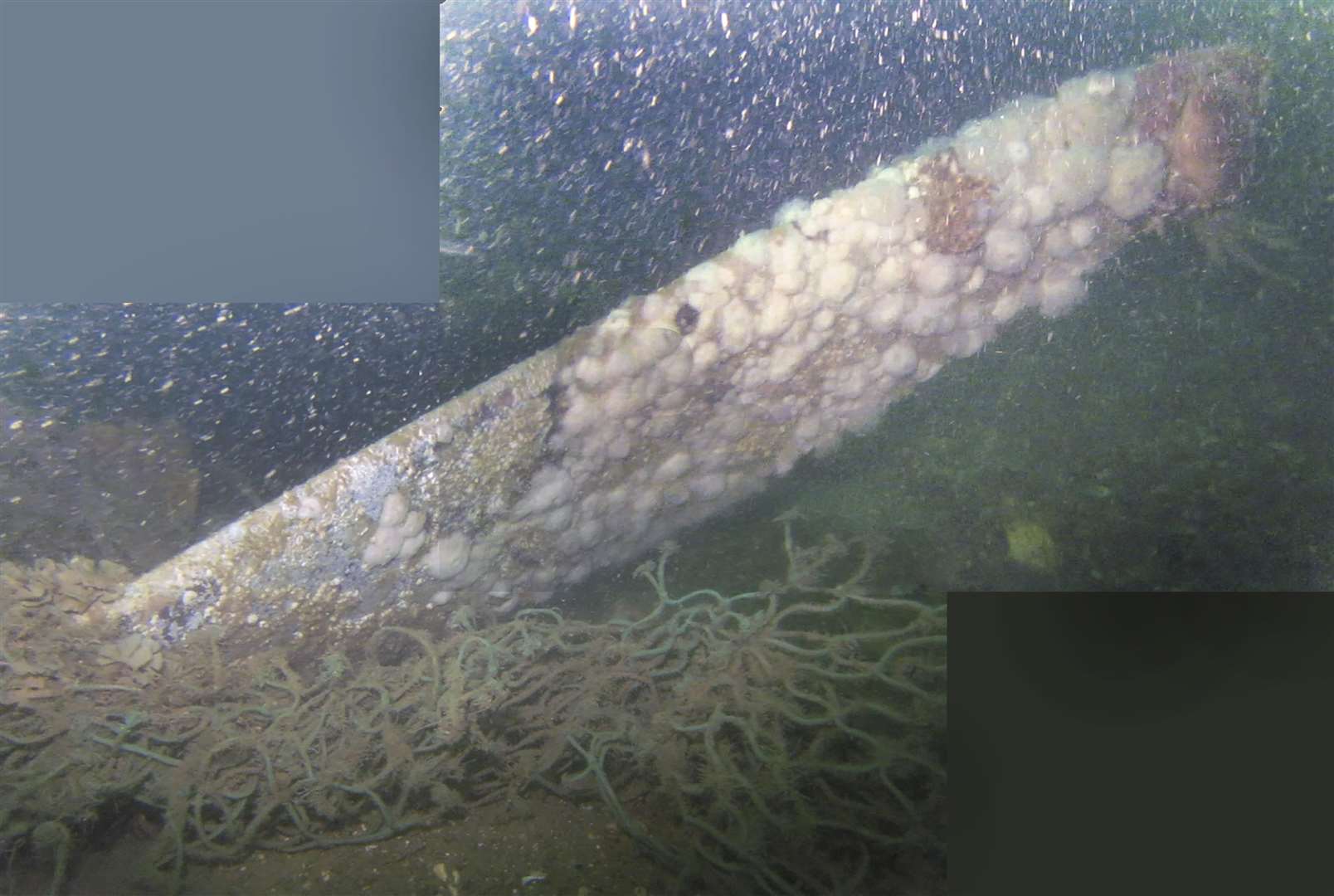 An object, believed to be a propeller, found in the suspected wartime bomber wreckage. Picture by Vince Woolsgrove and supplied by Goodwin Sands SOS
