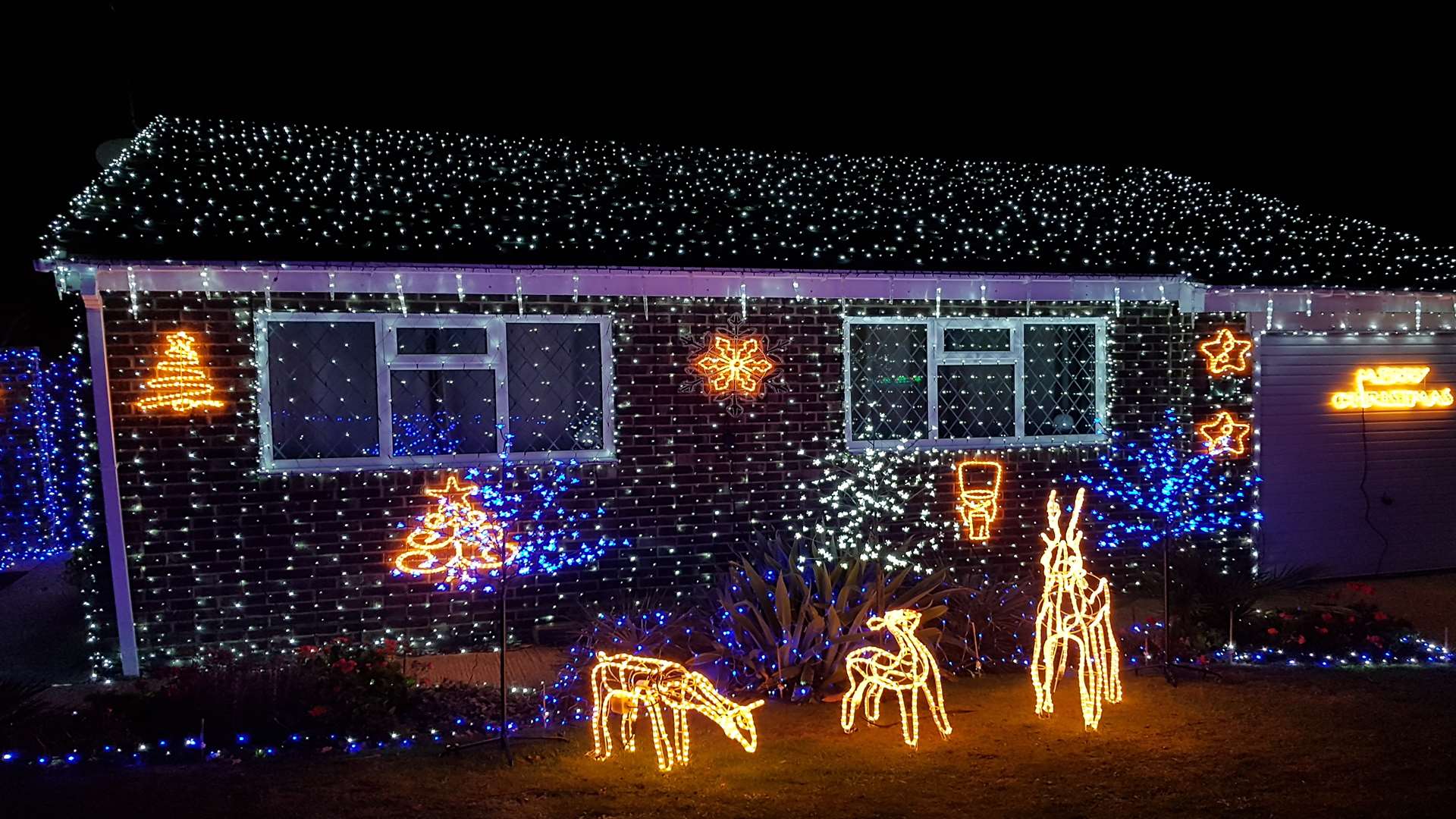 Illuminated reindeer grace the front lawn