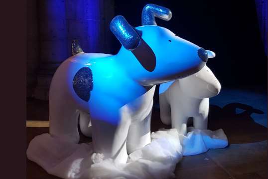 Snowdogs will be coming to Ashford.