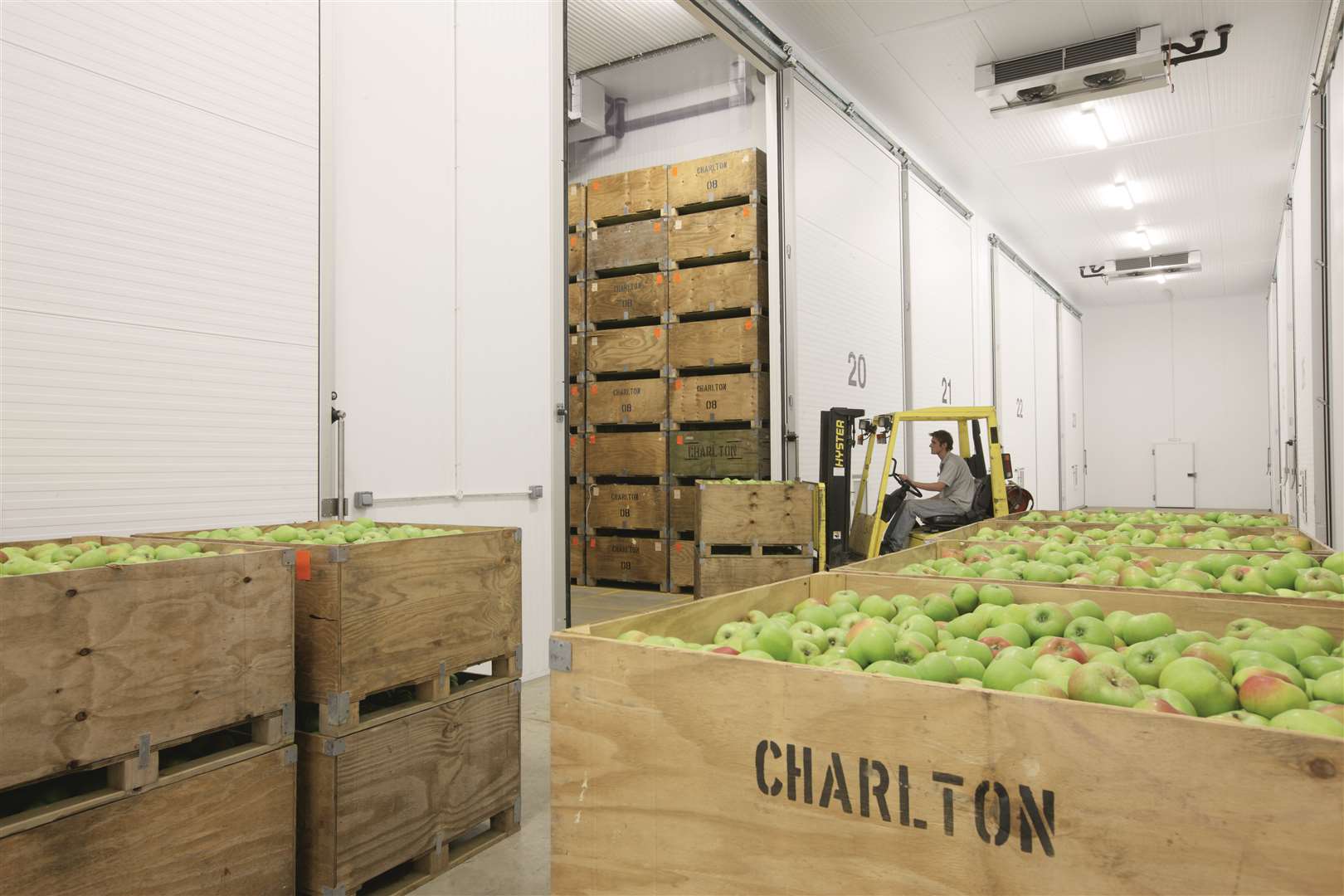 Paddock Wood-based ICA Group installed temperature-controlled and cold storage facilities