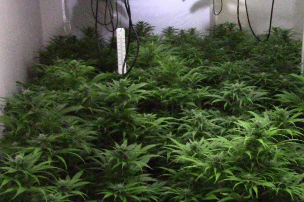 The trio have been charged with attempting to bring around a tonne of cannabis into the UK.