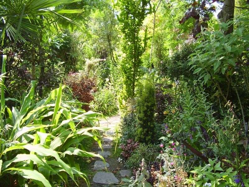 The garden in Minster is brimming with exotic plants. Picture: National Garden Scheme