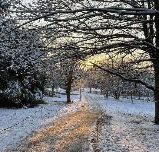 The lights trail at Cobtree Manor Park is still covered in snow and ice. Picture: Glow Illuminations Facebook
