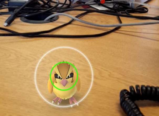 A Pidgey was found on our kmfm desk in Medway