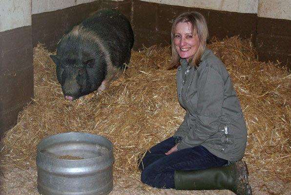 Porrick the pig at her new home in Norfolk