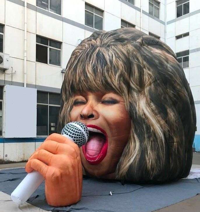 The Tina Turner head sculpture will go on show at Dreamland in Margate