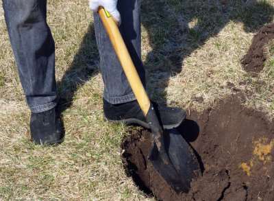 Gardens in Paddock Wood will have to be dug to test for contamination. Stock image