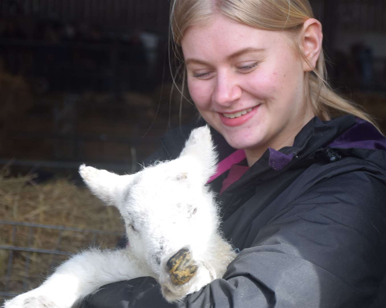 Visitors will get a chance to see the lambs up close in the lambing shed - you might even get to see one being born there if you’re lucky. Picture: Hadlow College