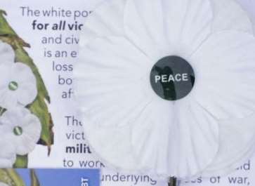 The white poppy, promoted by the Peace Pledge Foundation