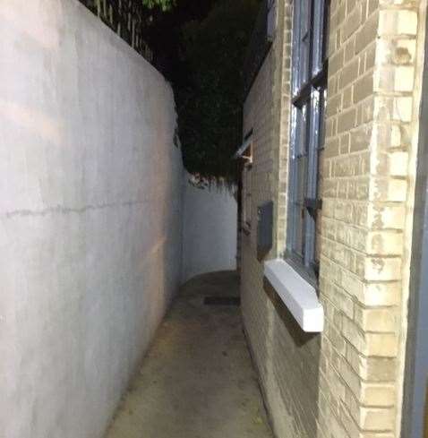 This is the alleyway at the back which leads to the rear garden – I did venture along it but it became too dark even for me