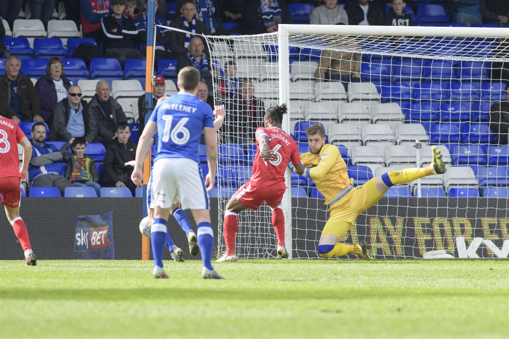 Tomas Holy reacts as a ball hits the side netting Picture: Andy Payton