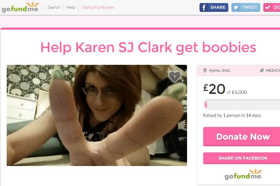 Karen's Go Fund Me page