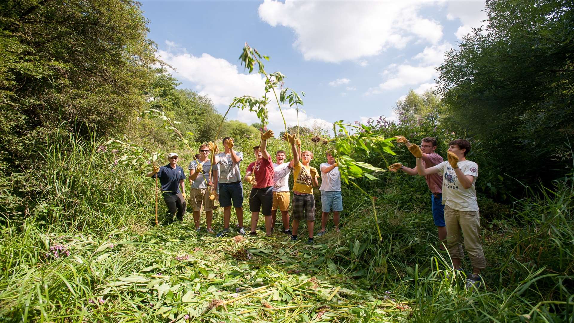 Croisière volunteers tackle the invasive Himalayan Balsam plant at the park