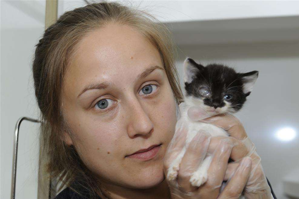 Deputy manager Tara Luxford with one of the kittens