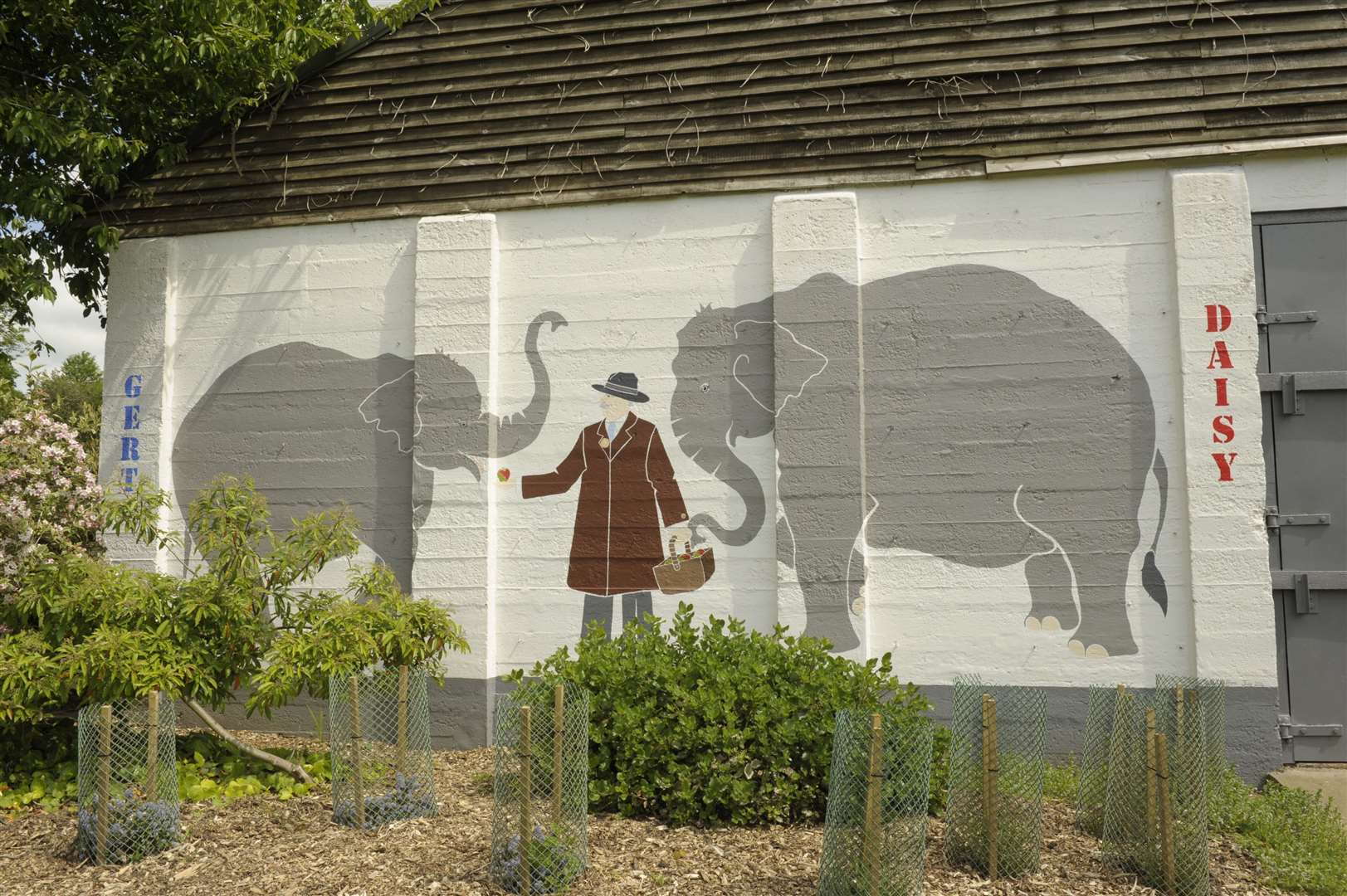 The Elephant House in Cobtree Manor Park today