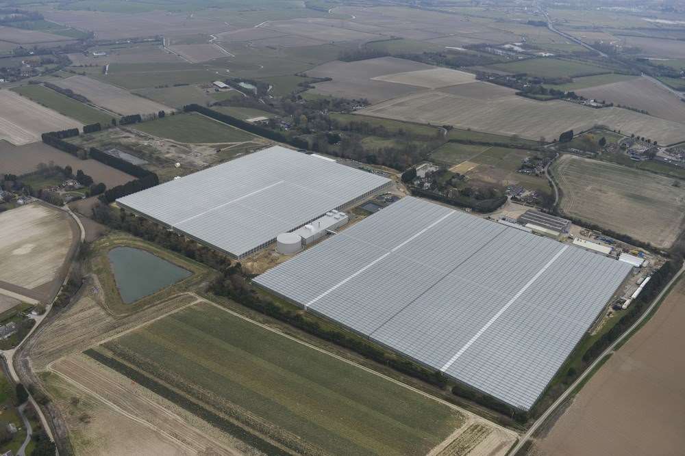 APS Group has 12.5 hectares of greenhouses in Ash near Canterbury