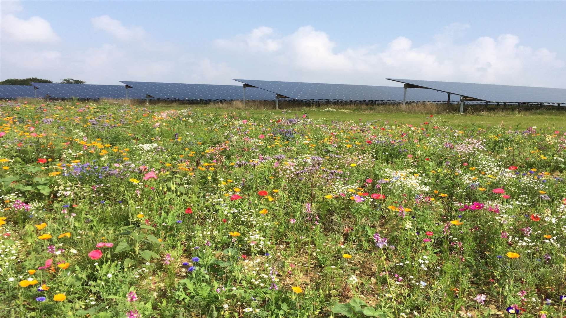 The 67-acre solar farm is now up and running