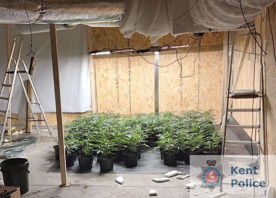 A third cannabis farm has been found in Thanet in less than a week. Picture: Kent Police