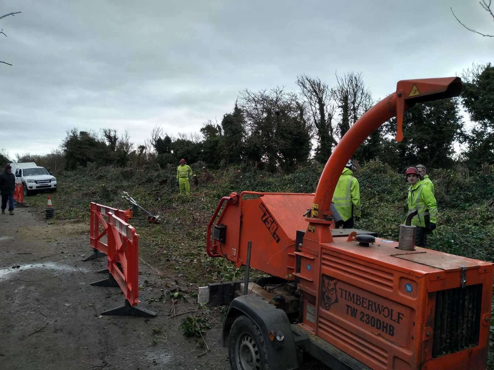 The council say they are removing dead trees and dense vegetation from the site. Picture: Mike Blakemore