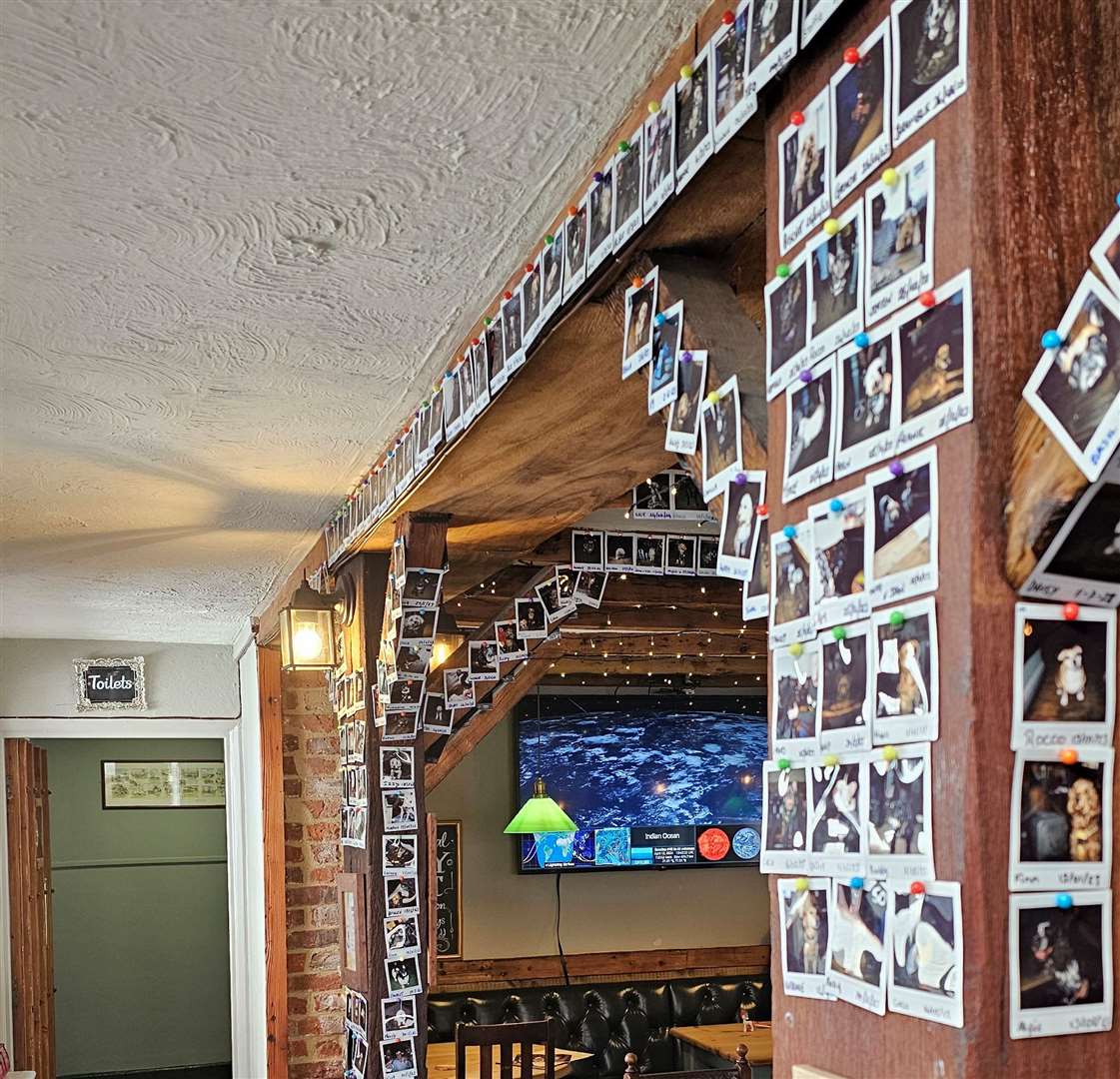 What started off as one wall of dog pictures has grown across the Canterbury pub. Picture: Chris Lurcook
