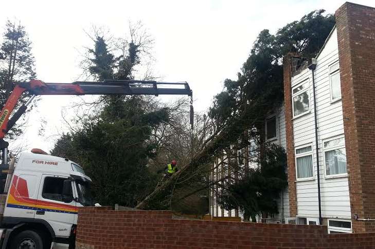 A crane is brought in to move the tree off flats