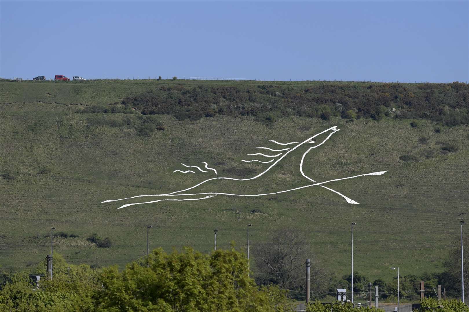 The white horse at Cheriton. Picture: Barry Goodwin