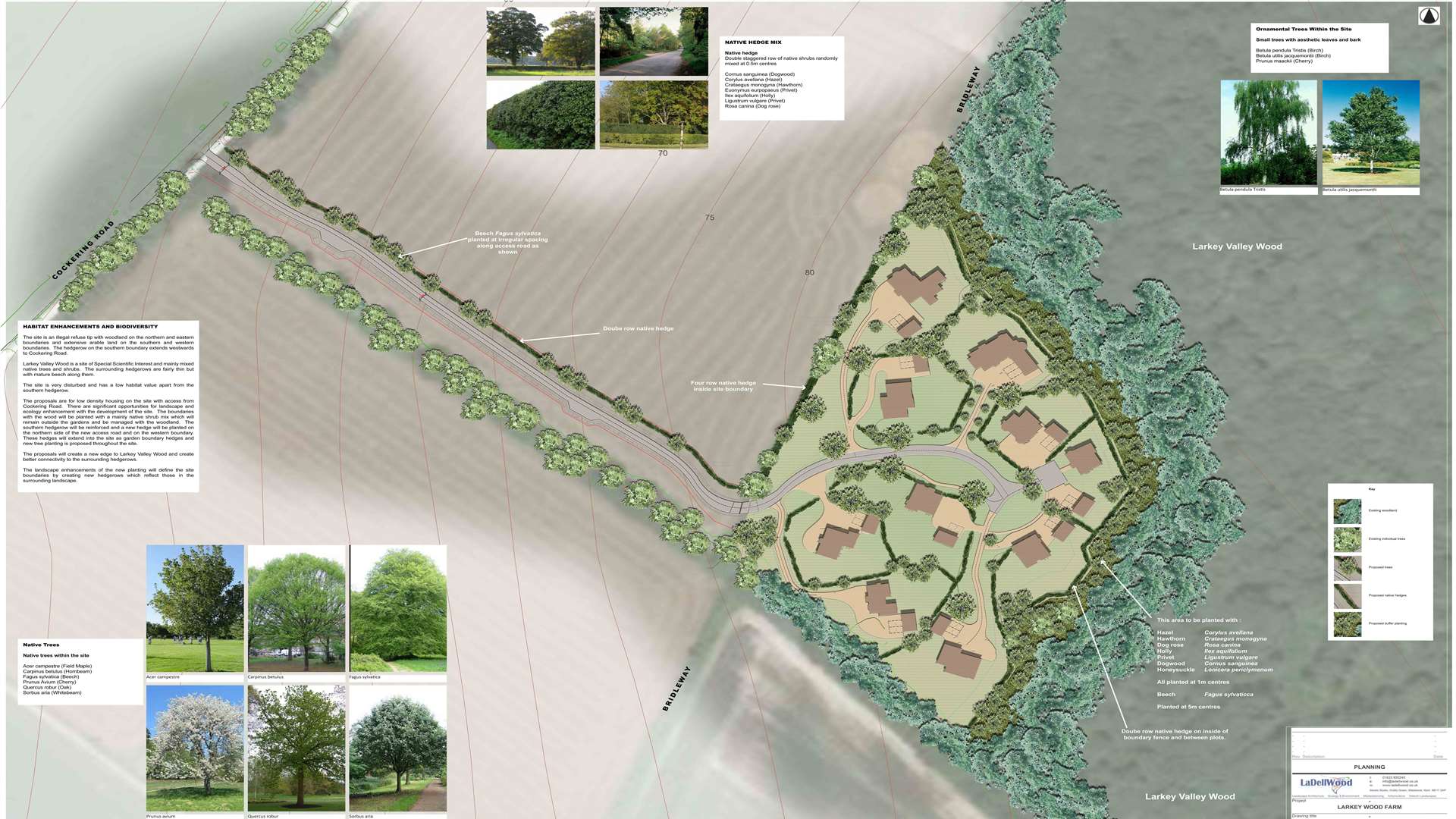 Larkey Wood development plans