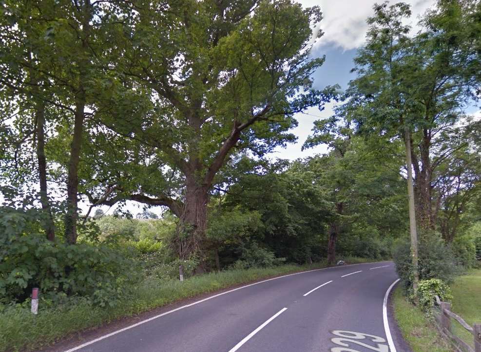 Horns Hill, close to where the tree has fallen. Picture: Google Street View