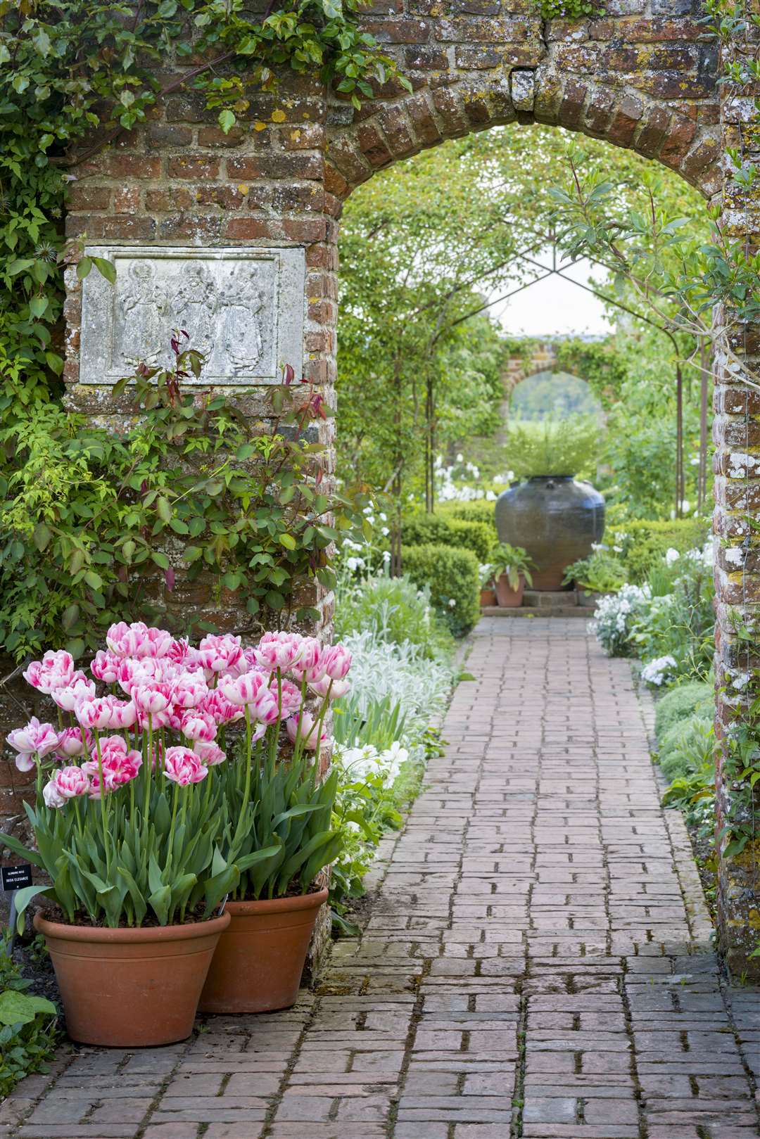 Tulips and archway to the White Garden at Sissinghurst Castle Garden, Kent.. (8470657)