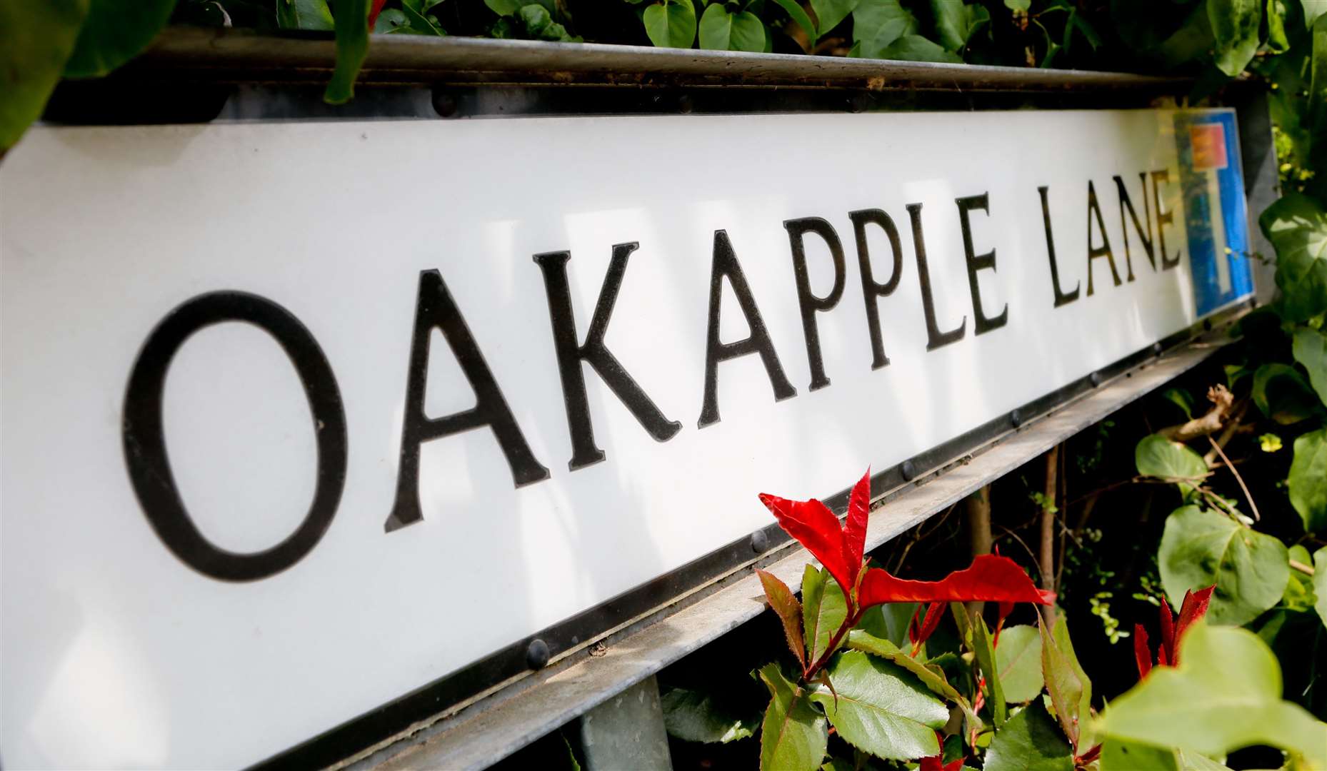 Oakapple Lane could move into Barming Parish