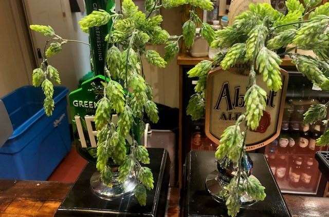 Two pumps at the bar had been decorated/camouflaged with sprigs of plastic hops