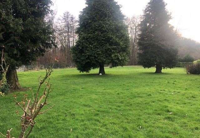 If you look carefully you might be able to spot a football in front of the trunk of one of these large fir trees. Hopefully a sign the pub is happy to let kids kick a ball around in this field.