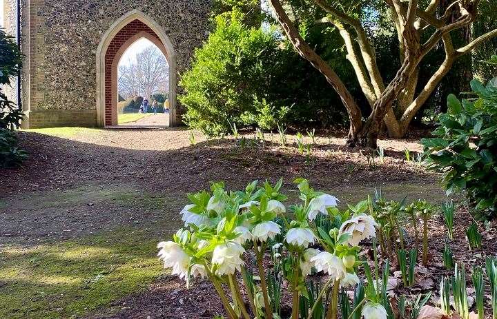 The beautiful 10-acre gardens at Doddington Place are open to the public on certain dates. Picture: National Garden Scheme