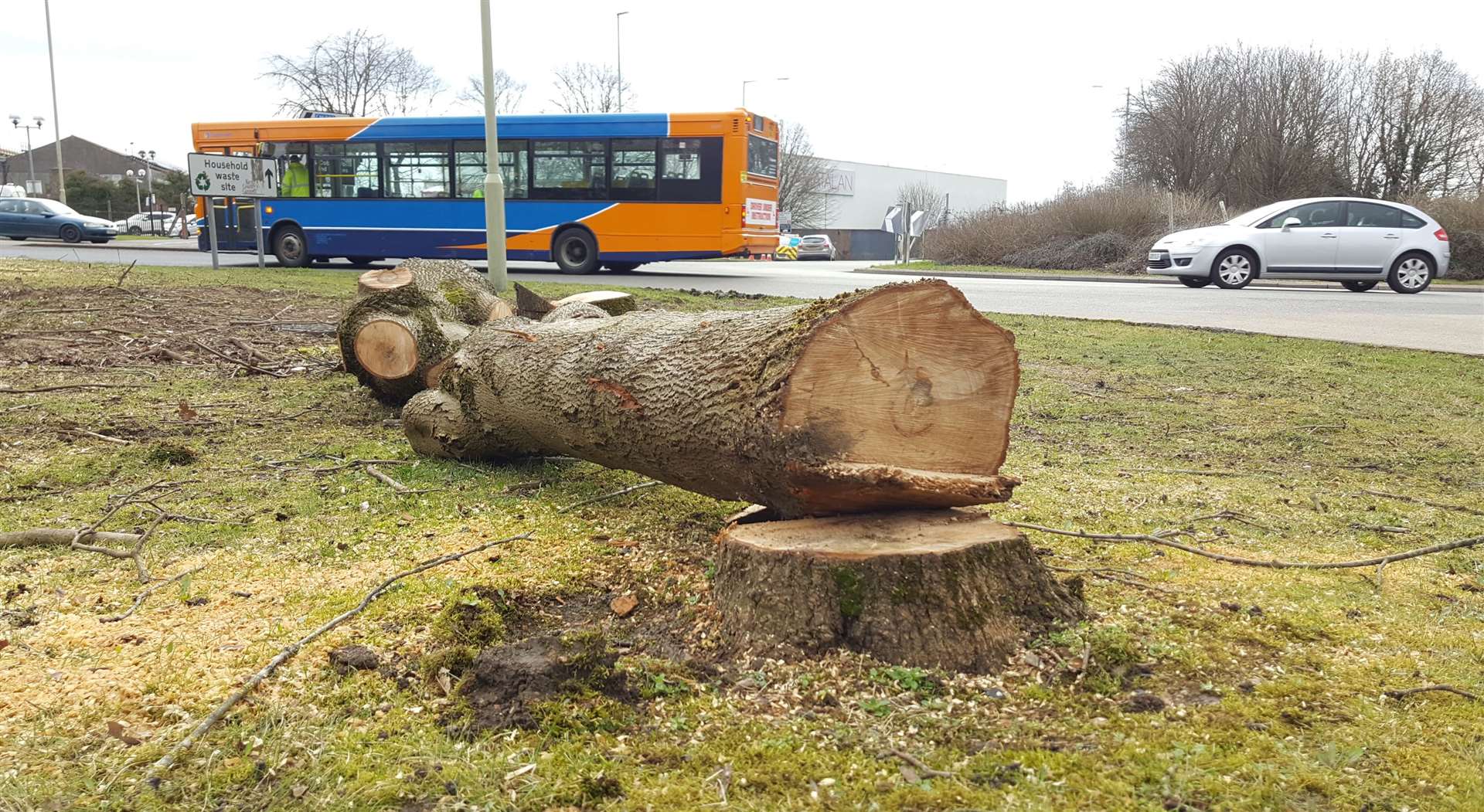 Trees along Chart Road were cut down in 2018 but, five years on, work is yet to start