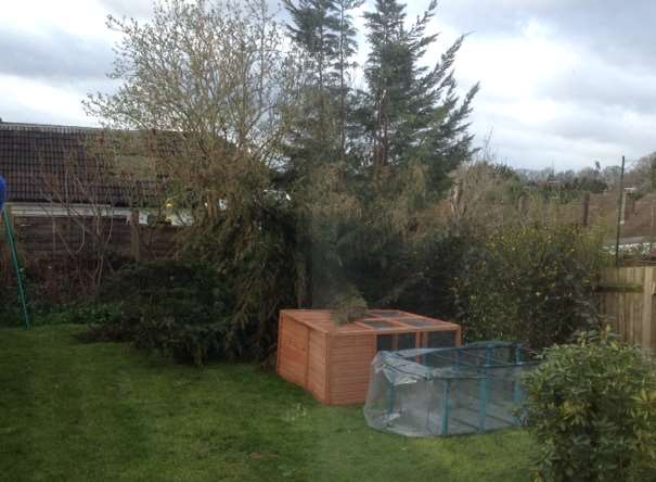 Elsewhere in Leanne's garden her rabbit cage was knocked over by a fallen tree. Picture: Leanne Hall