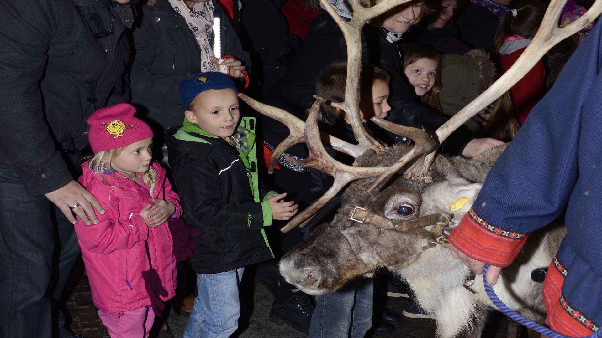 One the trio of reindeer at the Folkestone lights turn-on at Guildhall Street after the escape drama.