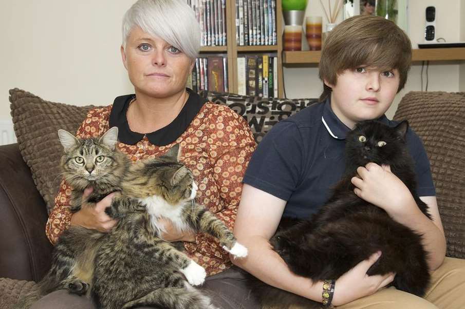 Michelle Cavalli and son Jack Lowman, 14, with their four cats
