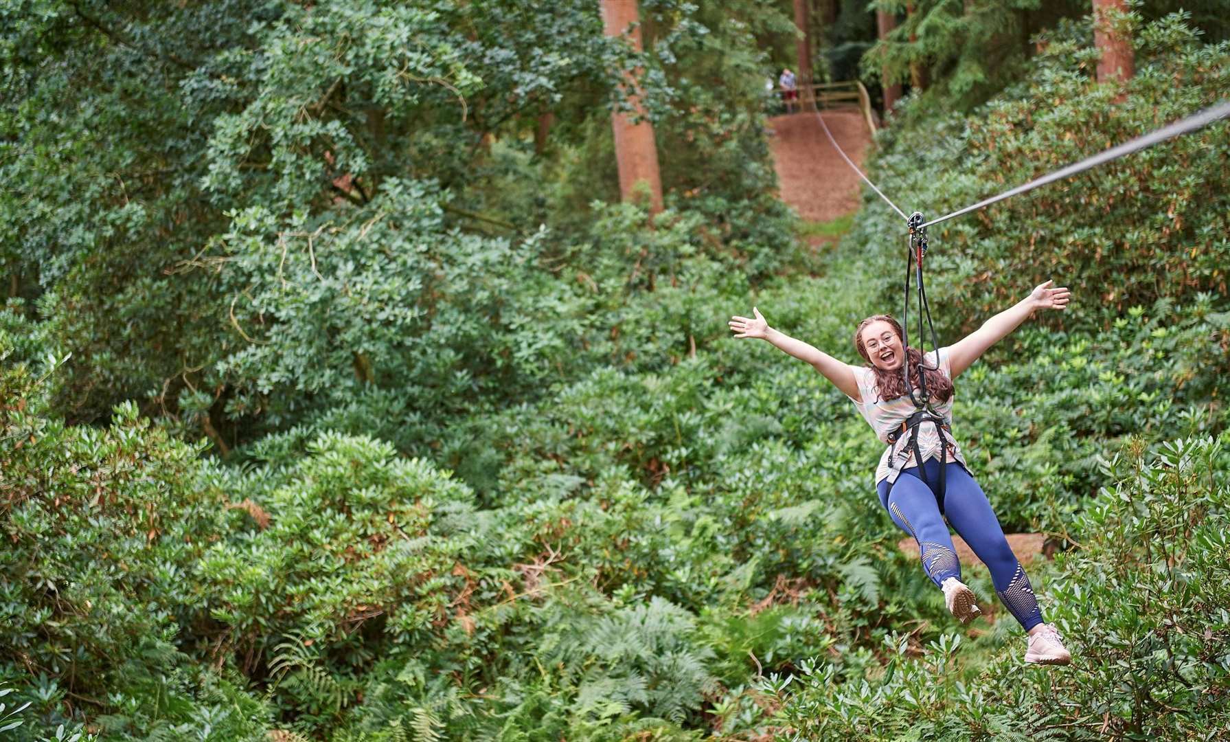 There's treetop adventure to be had now